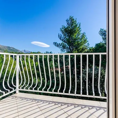 Zrno تْسافتات